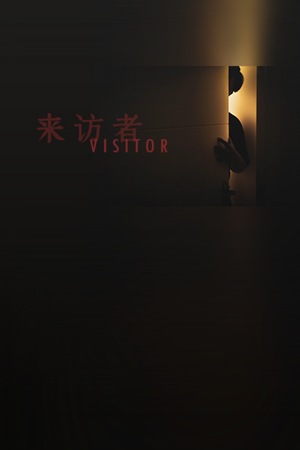 Visitor 来访者