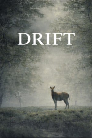 Drift