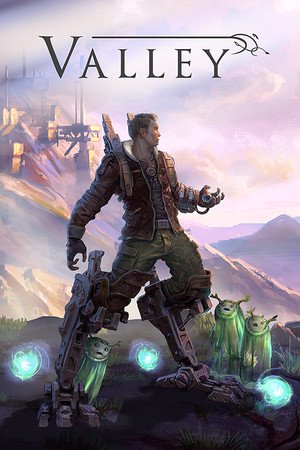 Valley cover