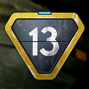 Section 13