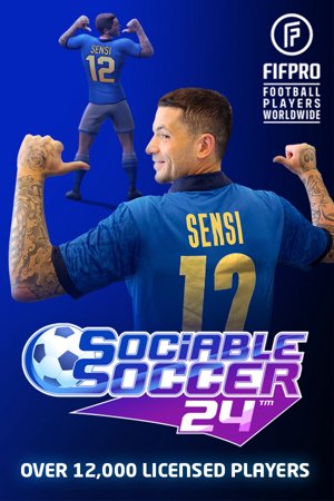 Sociable Soccer 24
