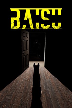 Baisu