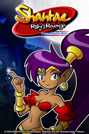 Shantae: Risky's Revenge - Director's Cut