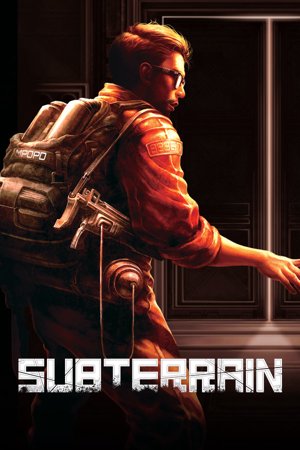 Subterrain cover