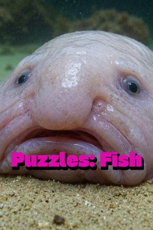 Puzzles: Fish