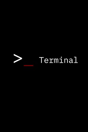 Terminal