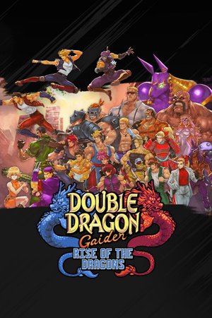 Double Dragon Gaiden: Rise of the Dragons