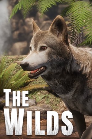 The WILDS