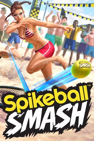Spikeball Smash