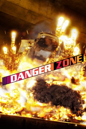 Danger Zone cover