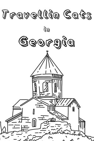 Cats Hidden in Georgia