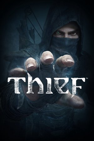 Thief cover