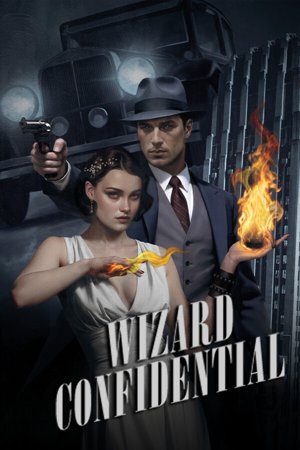 Wizard Confidential