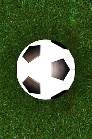 Score a goal 2 (Physical football)