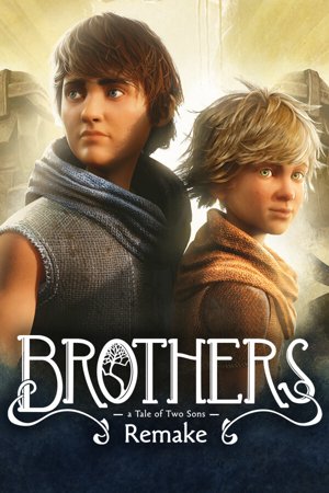 Brothers: a Tale of Two Sons cover