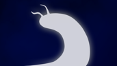 Friend of the Slug