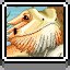 Bearded Dragon