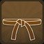 Brown Belt