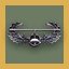 Air Assault Badge