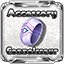 Accessory Fanatic