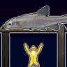 A Little Fishy