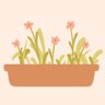Flower Bed