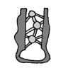 Midway Trophy: Tweedle Cave