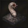 No Worms Allowed