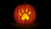 Cryptozoologist