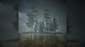 Swamp Swimmer