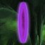 Only 1 portal allowed