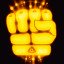 Wild Fist