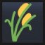 Sheaf of Rice