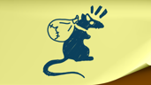 Pack rat