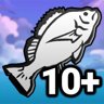 Fishing for Fish