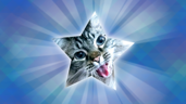 Star of LadyMagritte