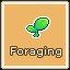 Novice Forager