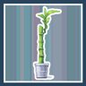 HighGrow