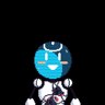 Read Only Memories