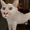 Meow :3