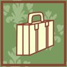 One heavy suitcase