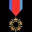Strategic Ops Medal
