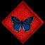 Social Butterfly