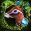 Animal Friend