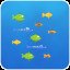 Under the Sea