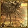 A Hero's End