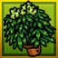 Green Thumb