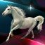 My horse is amazing