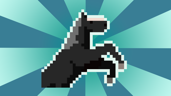 I am an Equestrian