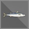 10 Tons Mackerel